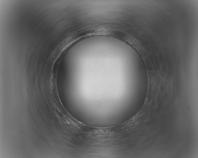X0000063440338200602031747