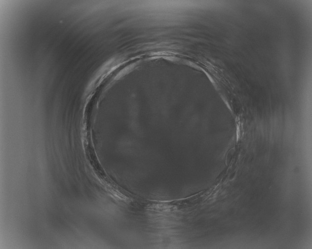 X0000063440339200602031747