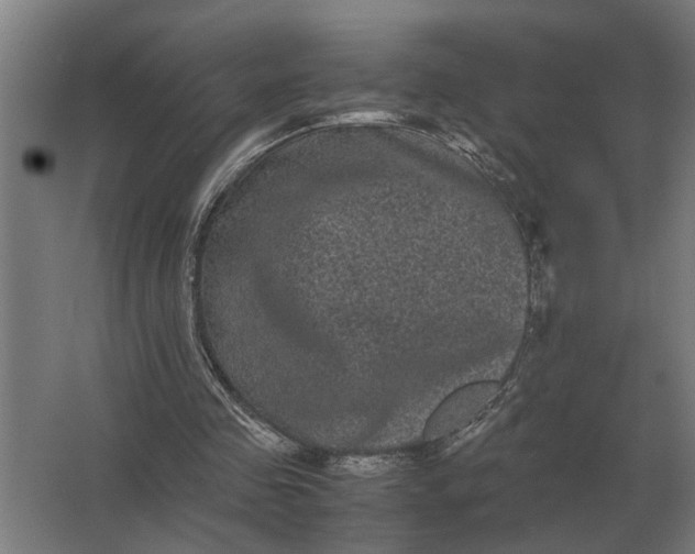 X0000063440341200602031747