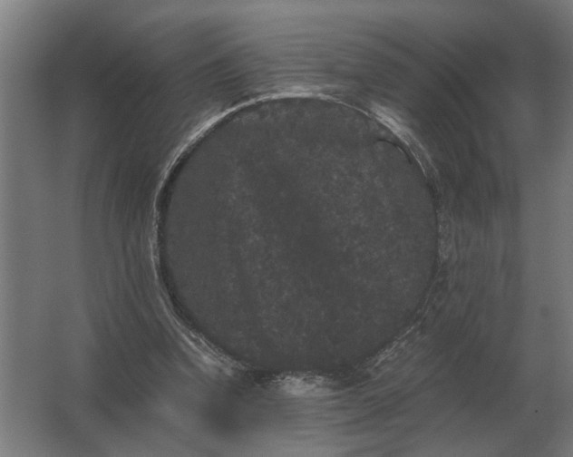 X0000063440346200602031747