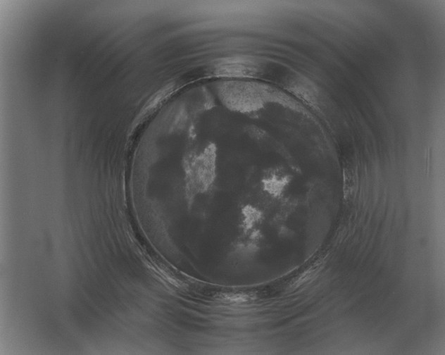 X0000063440349200602031747