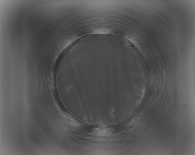 X0000063440351200602031747