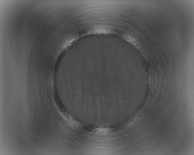 X0000063440352200602031747