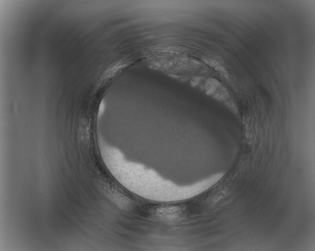 X0000063440357200602031747