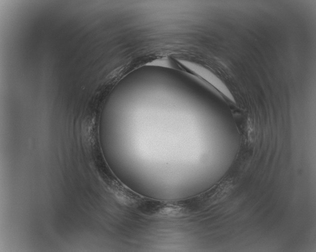X0000063440364200602031747