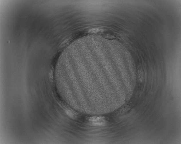 X0000063440375200602031747