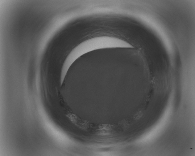 X0000063440382200602031748