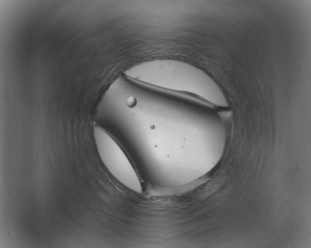 X0000063440384200602031748