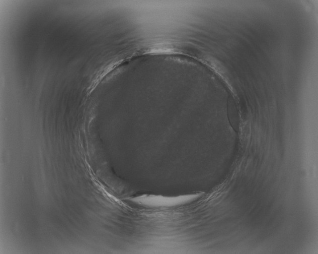 X0000063440385200602031747