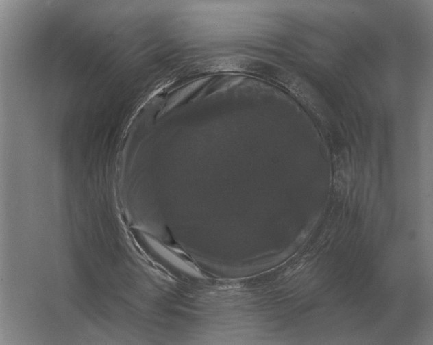 X0000063440386200602031747
