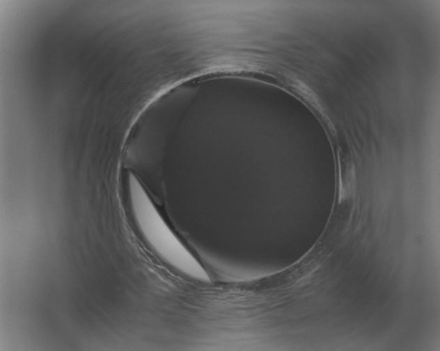 X0000063440387200602031747