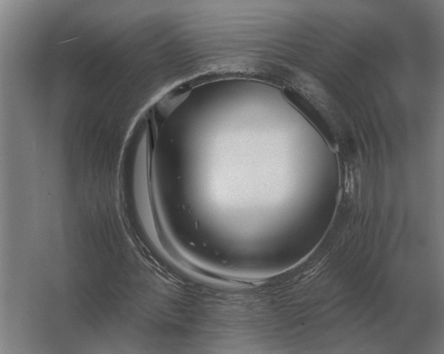 X0000063440388200602031747