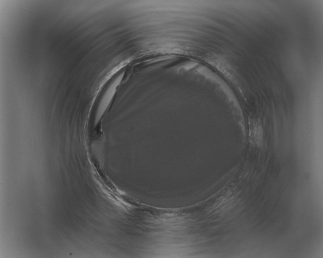 X0000063440390200602031747