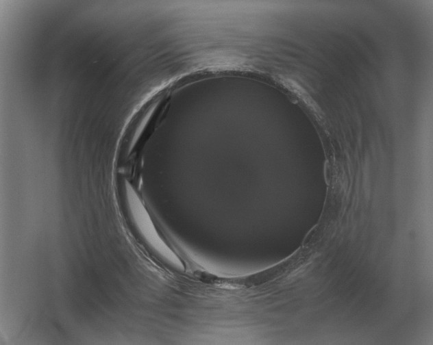 X0000063440391200602031747