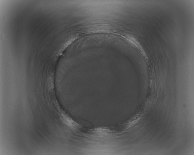 X0000063440393200602031747