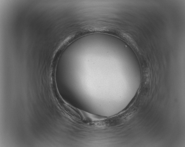 X0000063440395200602031747