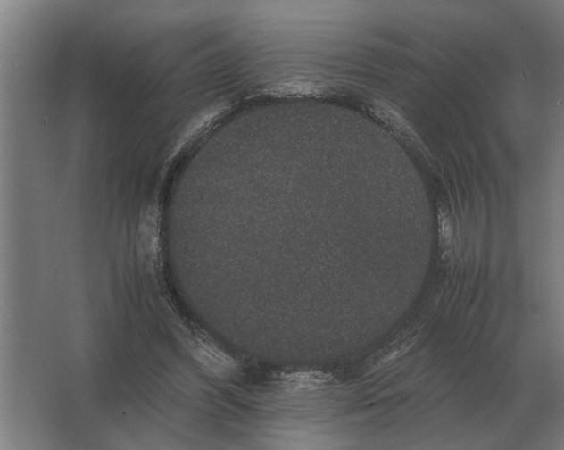 X0000063440396200602031747