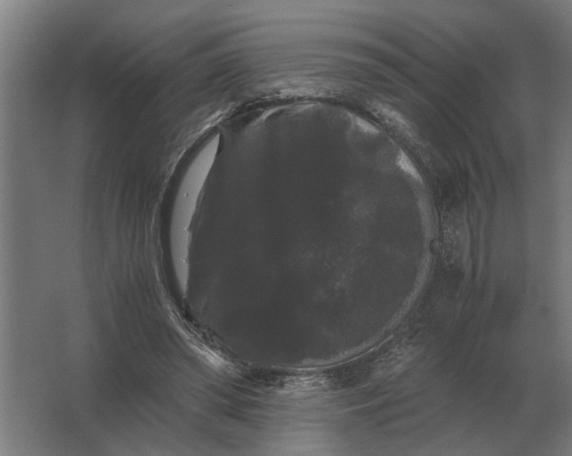 X0000063440398200602031747