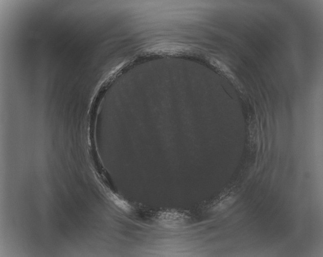 X0000063440399200602031747