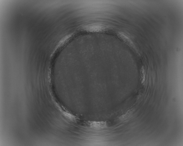 X0000063440400200602031747