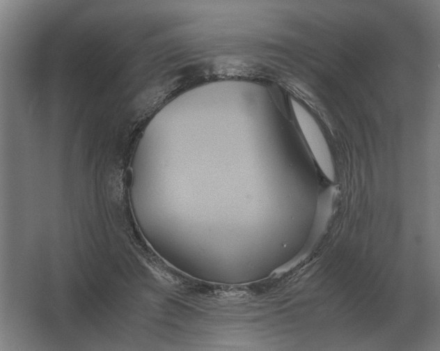 X0000063440401200602031747