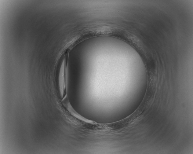 X0000063440403200602031746