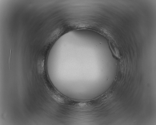 X0000063440406200602031746