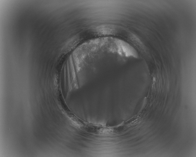 X0000063440410200602031746