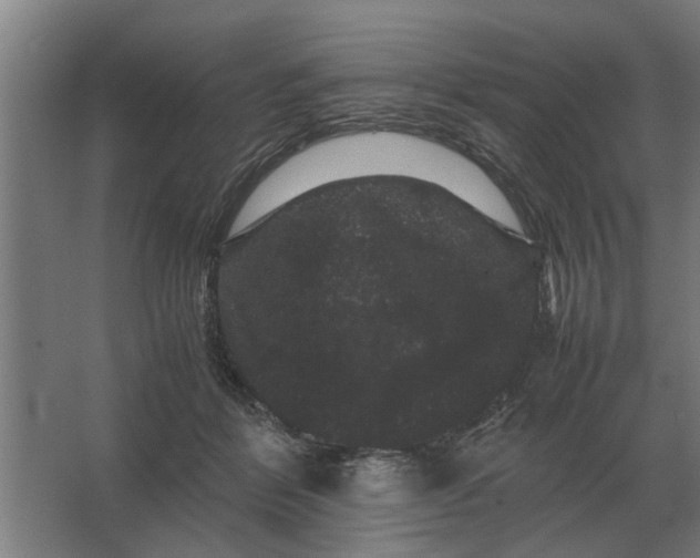 X0000063440412200602031746
