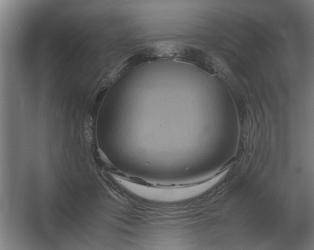 X0000063440413200602031746