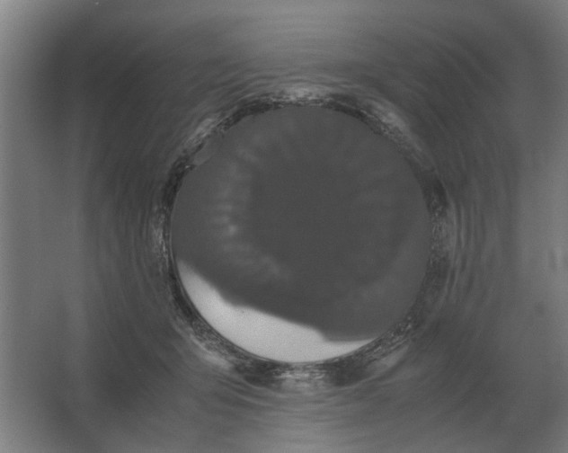 X0000063440415200602031746