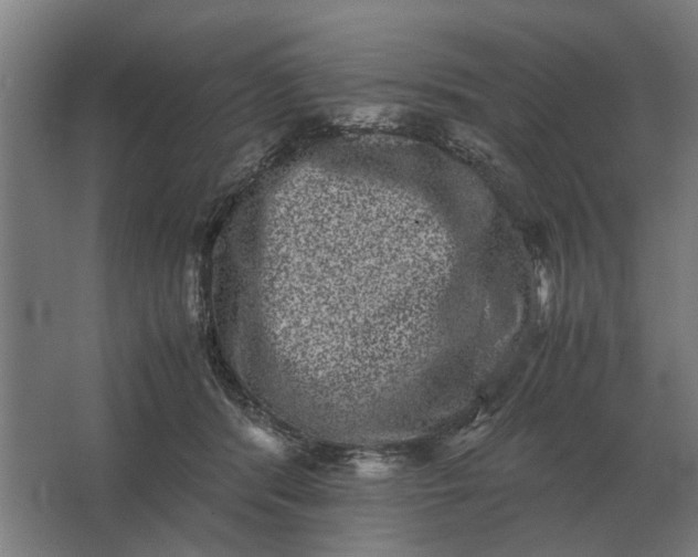 X0000063440416200602031746
