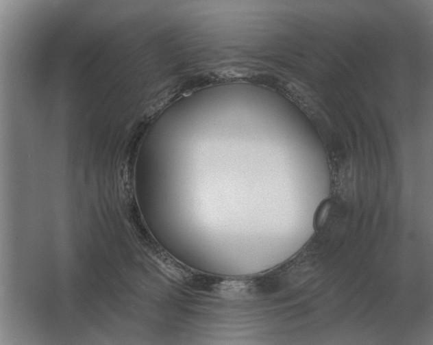 X0000063440418200602031746