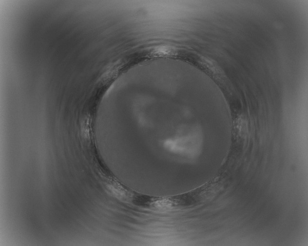 X0000063440423200602031746