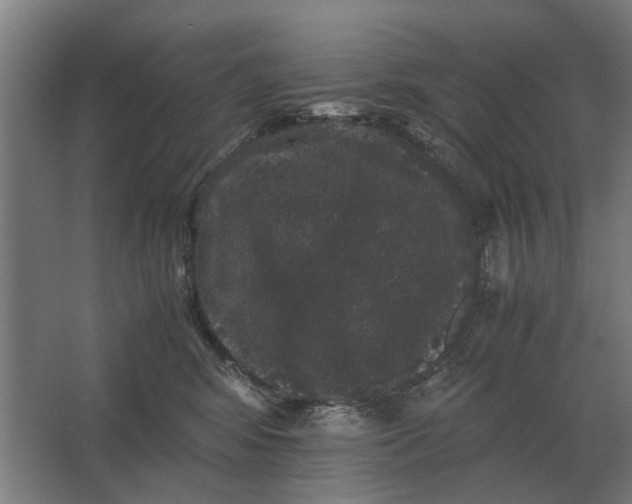 X0000063440424200602031746