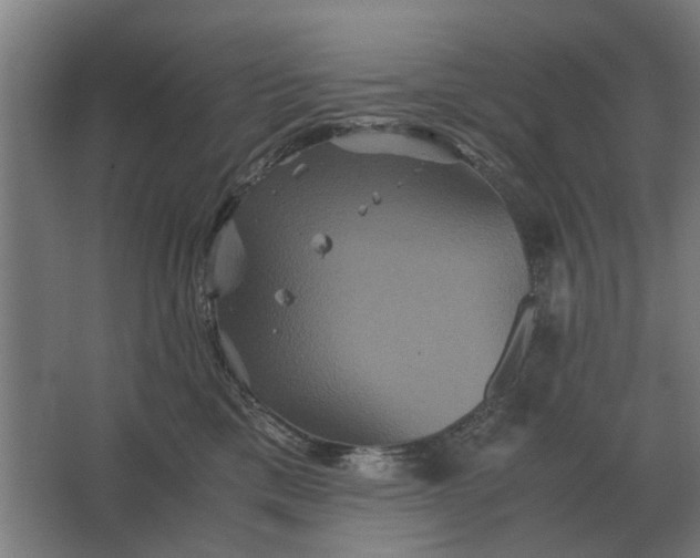 X0000063440425200602031746