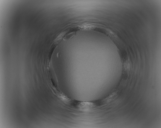 X0000063440429200602031746