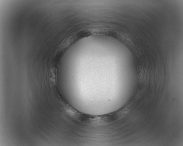 X0000063440430200602031746