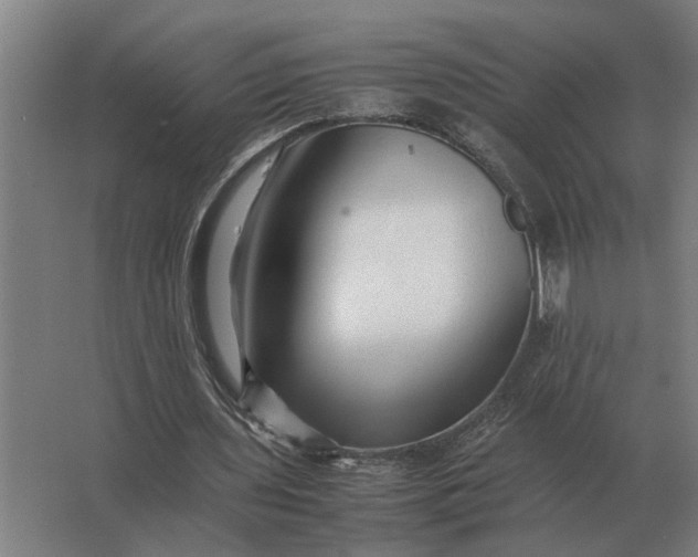 X0000063440435200602031745