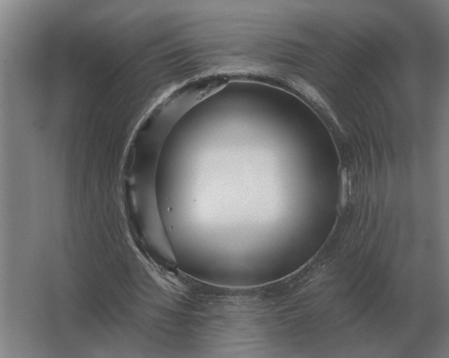 X0000063440436200602031745