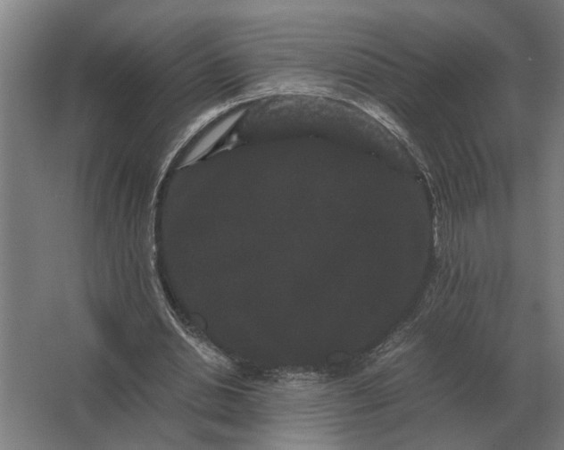 X0000063440438200602031745