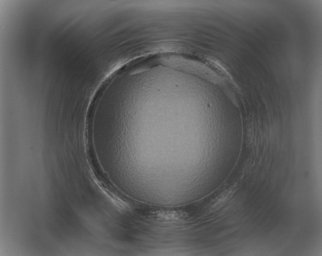 X0000063440439200602031745