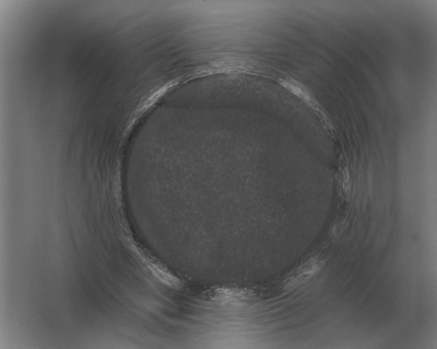 X0000063440442200602031745