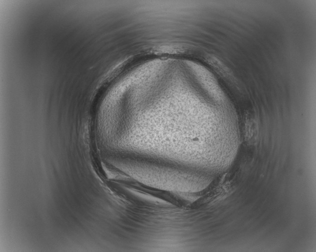 X0000063440444200602031745