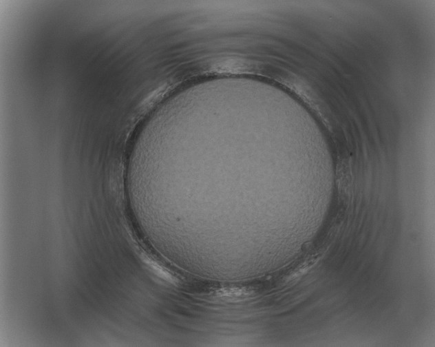 X0000063440445200602031745