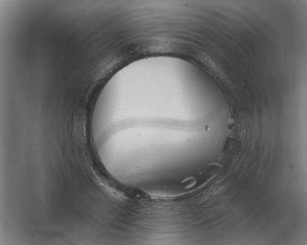 X0000063440446200602031745
