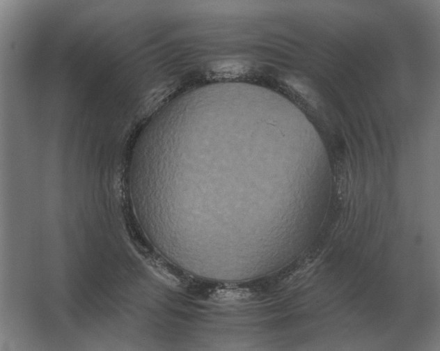 X0000063440455200602031746