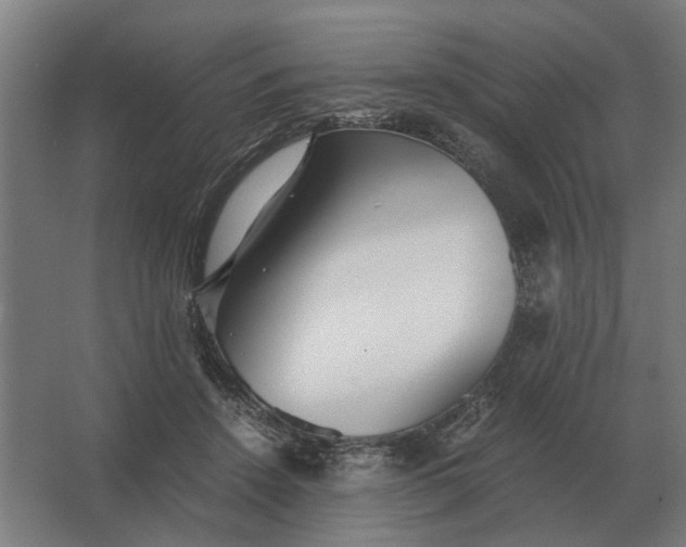 X0000063440456200602031746