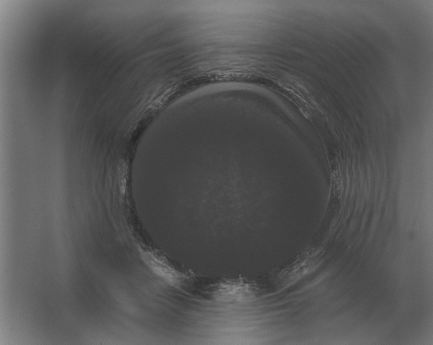 X0000063440458200602031746