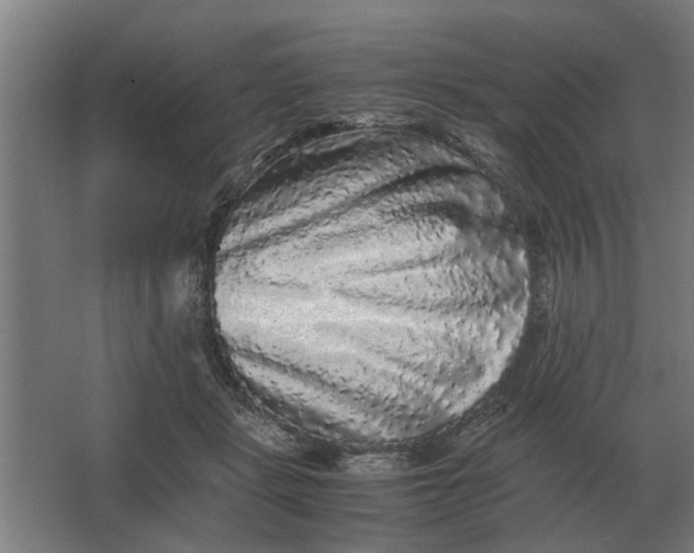 X0000063440461200602031746